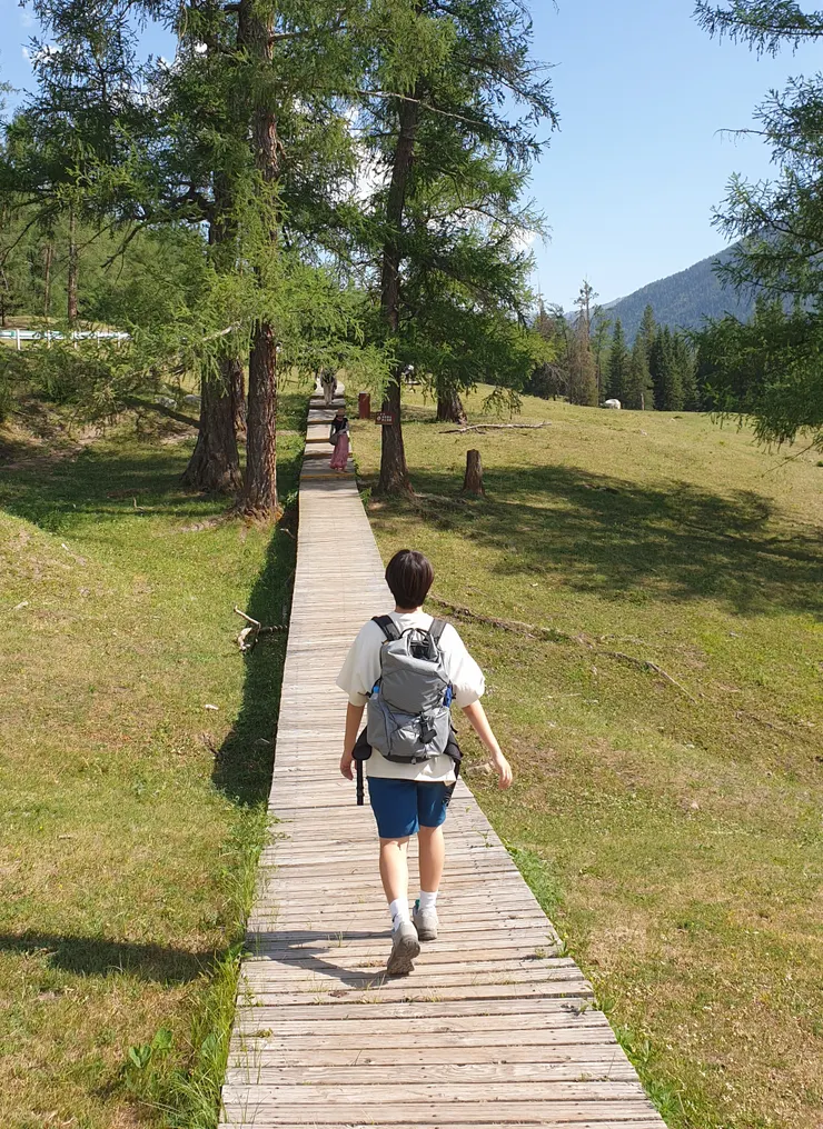 走在月亮灣旁的森林步道,風景美得像在夢境般