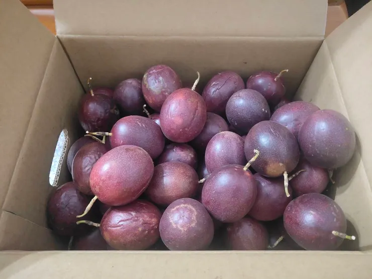 百香果