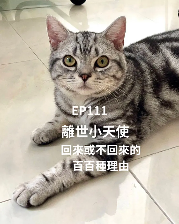 這隻就是"帥哥"(帥哥媽媽提供)