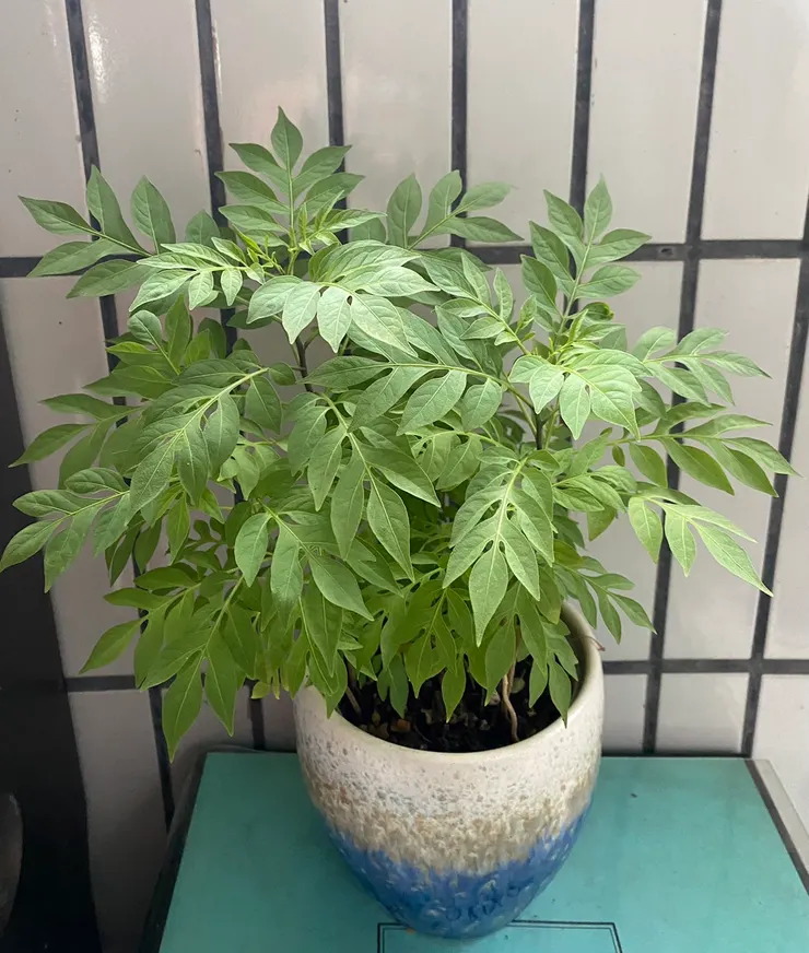 新莊農會112.12.29