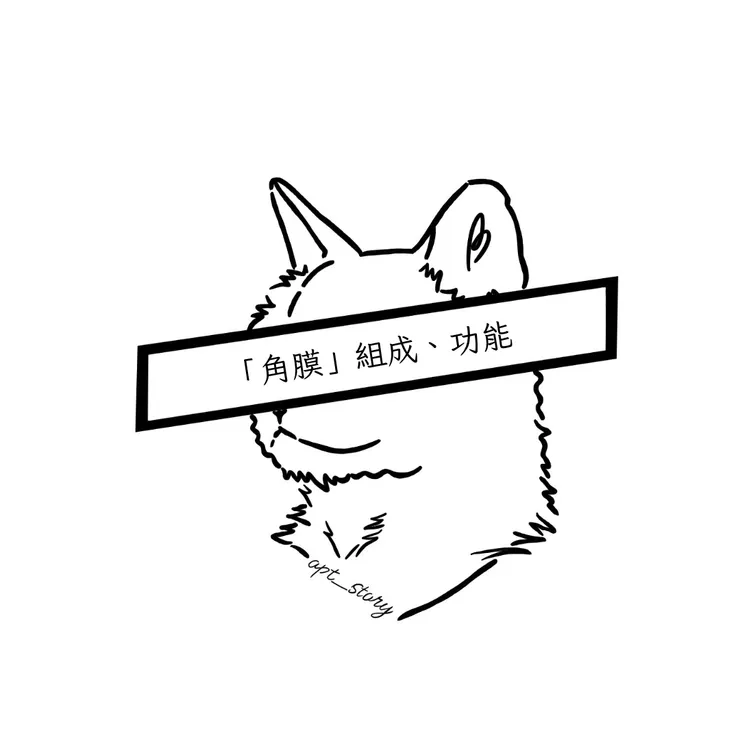 Opt_story