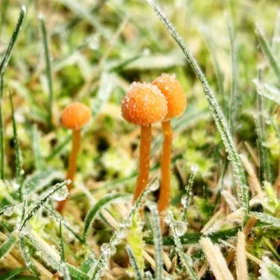 路過的掃地僧的沙龍