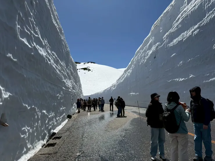 左邊這車道是給觀光客行走的