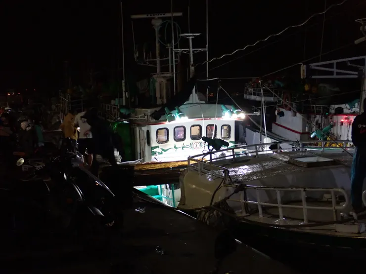 工人架起運輸帶,一條條冒著白煙、表面結著冰晶的塊狀物從艙內被丟到岸邊-是魚。(攝於生鮮魚市場)