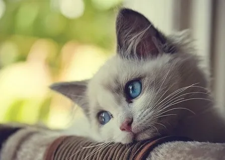 你確定你沒有買錯台?