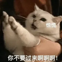 柳時蘭內心想法