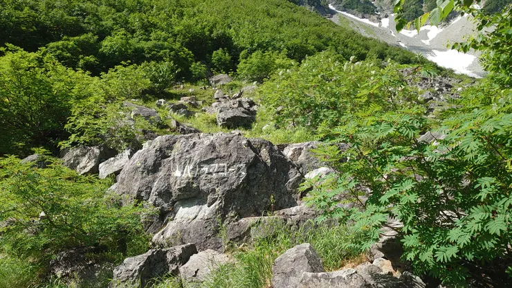 石頭上漆著パノラマコース字樣