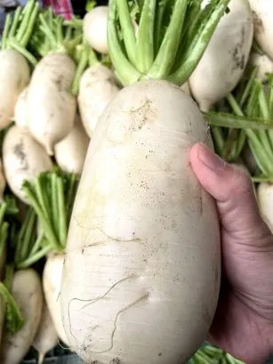 隨手拿一顆都很沉，水份很足