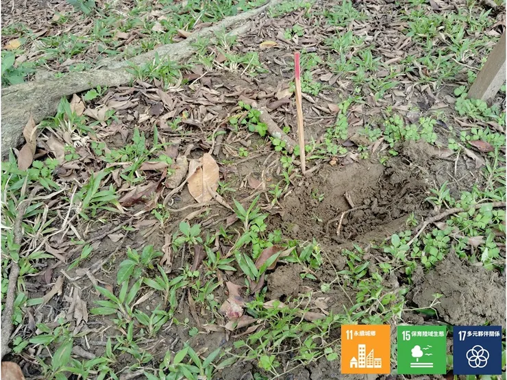 用「色筷」標定待植栽位置