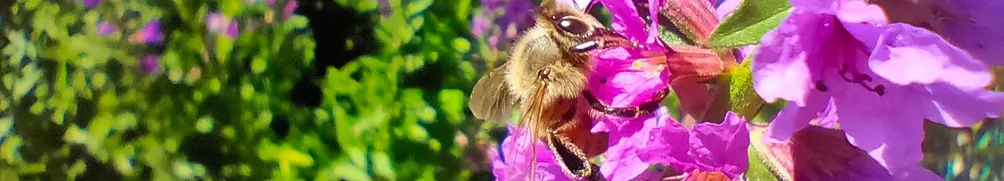 讓我想想的沙龍