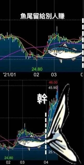 你的魚尾跟其他人的魚尾(梗圖取自PPT)