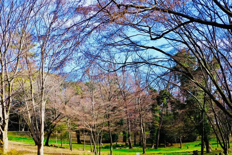 代代木公園即景3