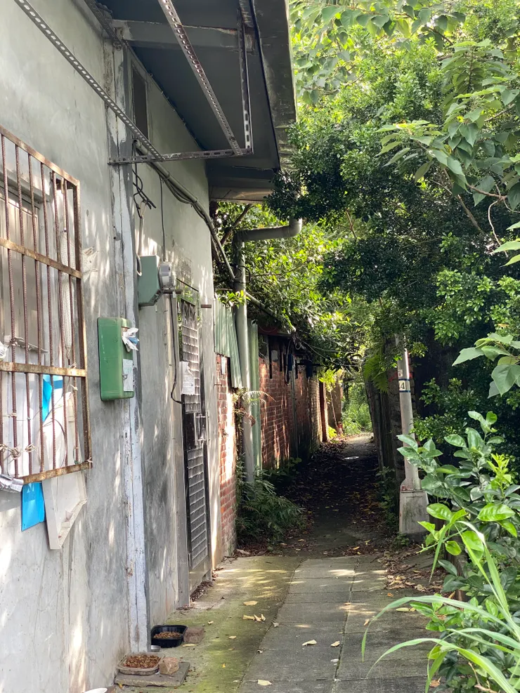 再往上一層，這一排磚木造的屋舍已無人居住，但尚未整修，保有原始風貌。（拍攝日期：2025/7）
