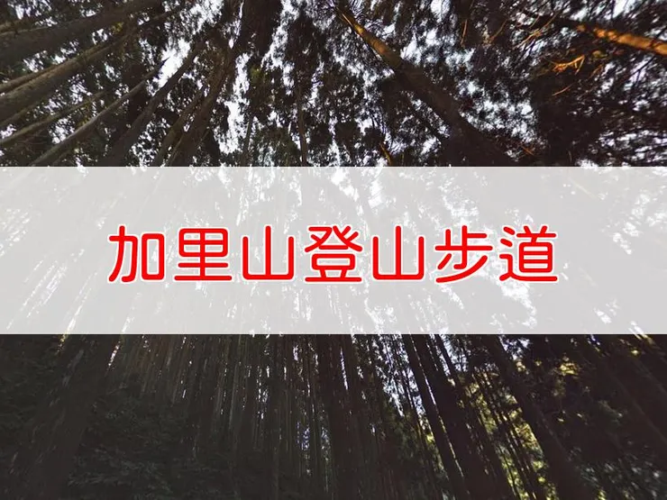 【苗栗】小百岳-加里山登山步道 | 全長：12.5公里 | 難度：中