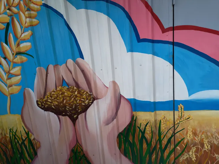 圖片來源：自攝