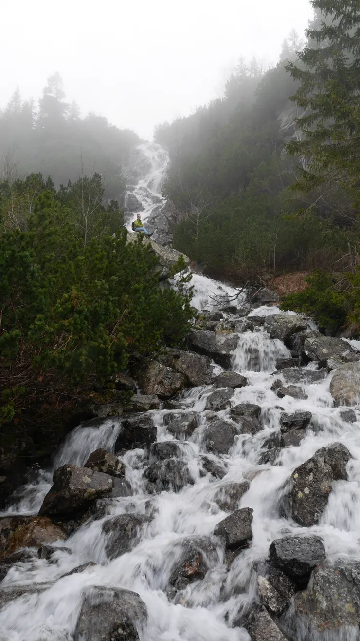 發現歐洲猴子(誤