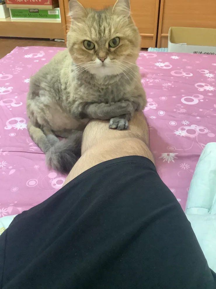 拍攝於 2024/11/12