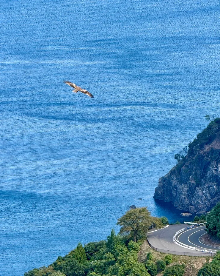 盤旋在空中與底下的道路相望