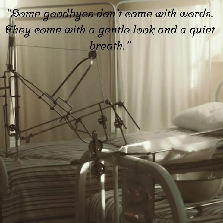 (有些告別不帶語言,只是一個眼神,一口靜靜的呼吸。)