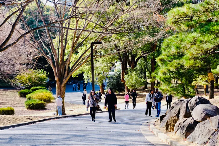 代代木公園即景4