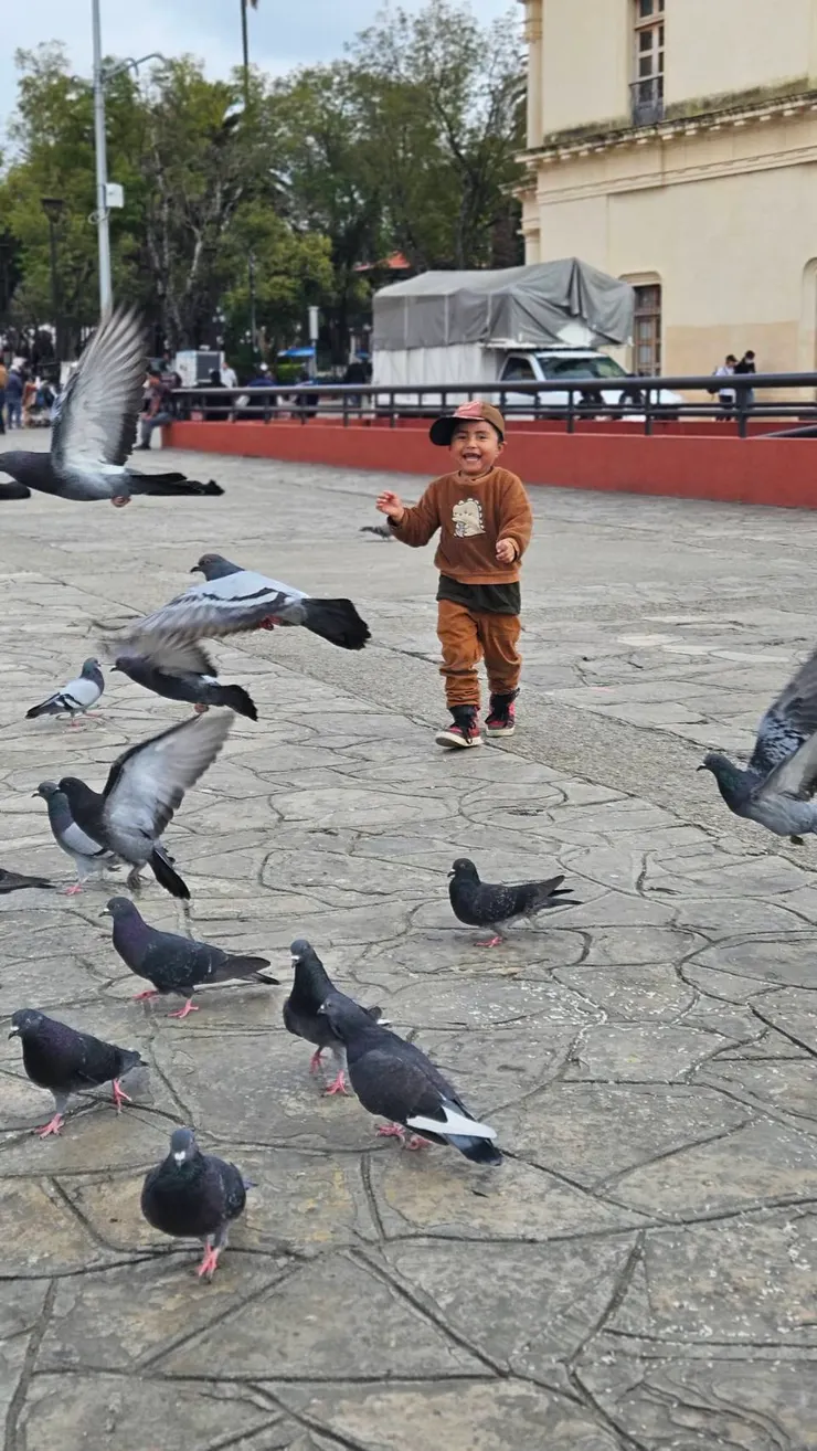 但這麼可愛的畫面，還是忍不住想記錄阿~