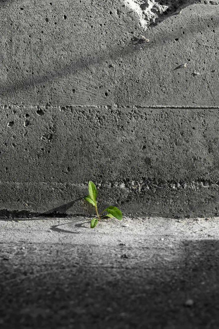 Photo by Pascal Meier on Unsplash