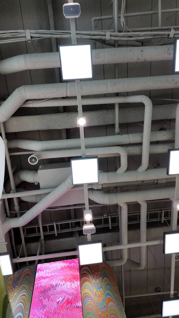 躺下時眼前的畫面