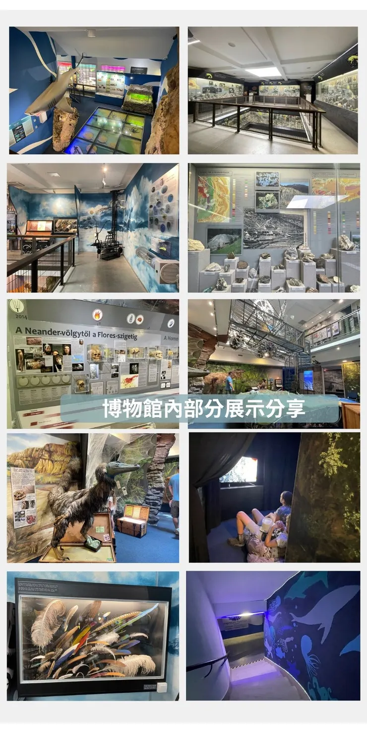  Ottó Herman Museum  shot by Emma@07/2024.