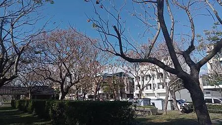 [宜蘭旅遊]宜蘭運動公園，運動設施機能完善、大面積、風景特佳