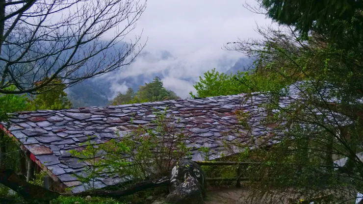 期待今天的陽光