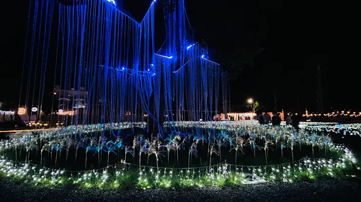 看著像水母的大樹