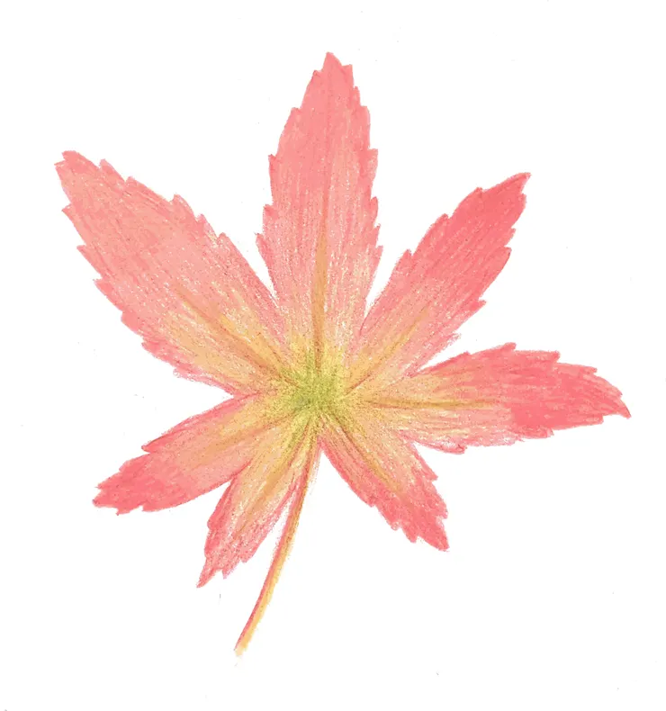 色鉛筆復健成品1