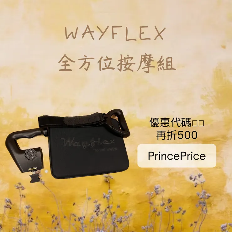 【Wayflex按摩槍】全方位按摩分享(按摩槍使用注意事項)-不小王子