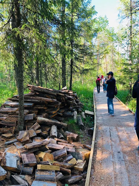 Luhasoo步道的入口