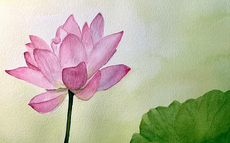 圖 YH.CC@水彩練習 W58夏荷, 26x18cm, APR2024, 感謝Red攝影提供