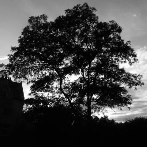 Photo by David Whyte