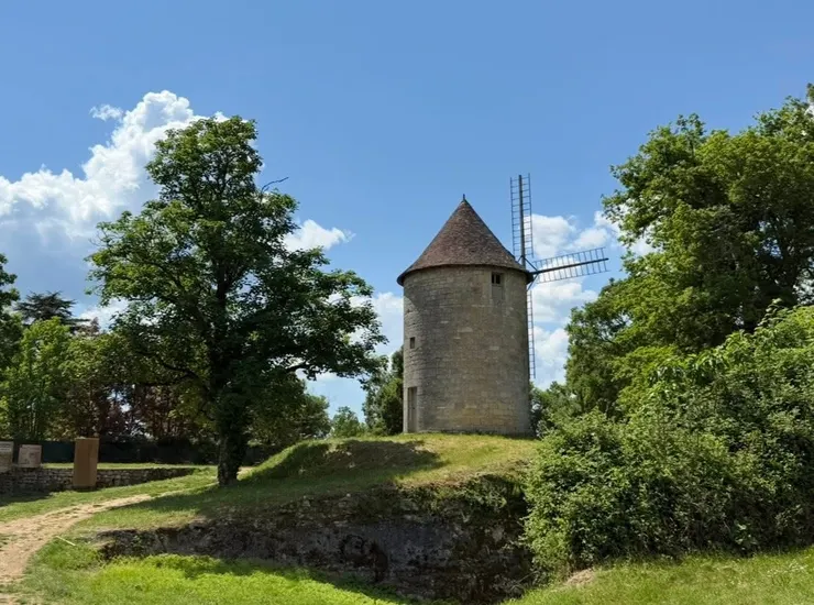 在這𥚃，意外看到風車