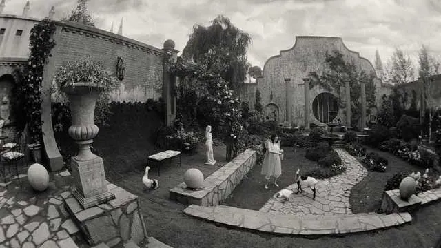 廣角類鏡頭帶來的畫面變形(圖片來源:《Poor Things》劇照)