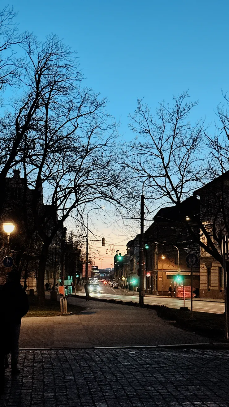 從飯店走去中餐廳的街景