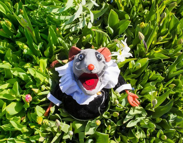 圖片來源:Mauritshuis