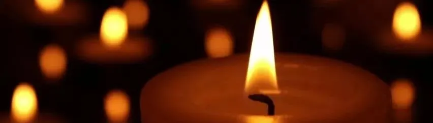 Elaine依蓮的沙龍