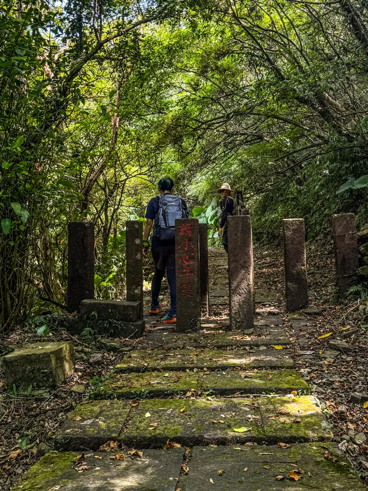 桃源谷的特產是牛吧～🤭