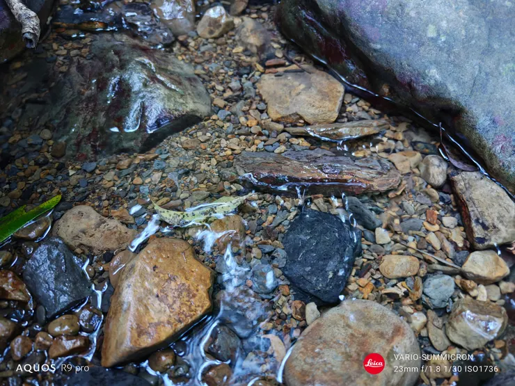 山泉(SHARP AQUOS R9 pro,23mm)