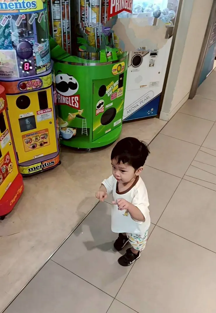 想要投扭蛋的珍豬🤣