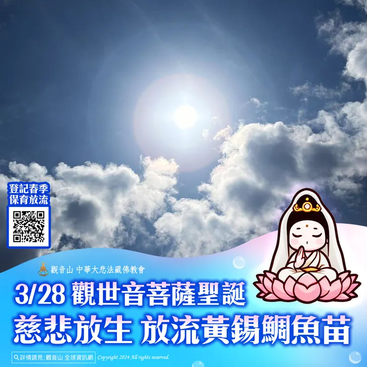 3月28日 觀世音菩薩聖誕慈悲放生 觀音山放流黃錫鯛魚苗