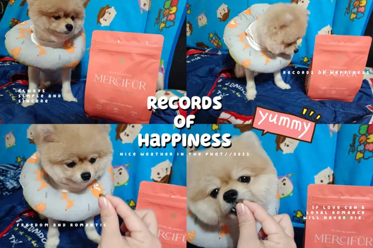 布咘 & 恩點 Mercifür & 豬人的手