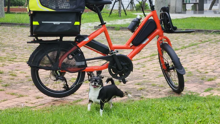 碰吉很開心的可以去中興嶺,然後在921地震公園散步。