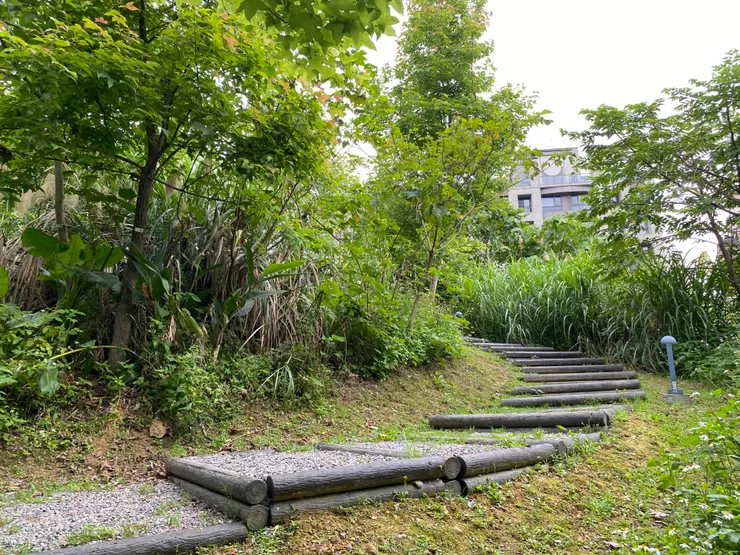 文山森林公園充滿自然綠意，很適合郊遊踏青