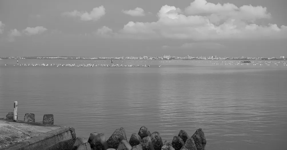 阿翔的恬淡書房