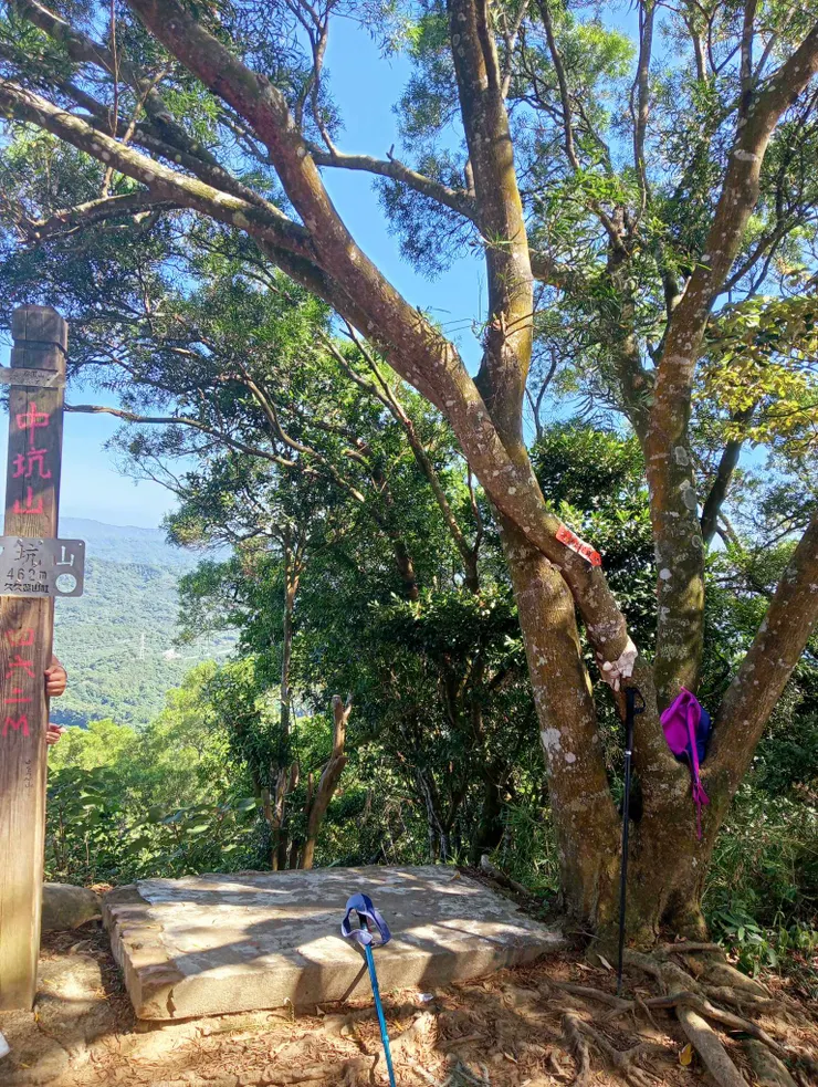 三角點,不叫飛鳳山,卻叫中坑山